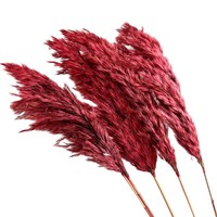 Herbe de la Pampa séchée, mini roseaux naturels teintés, fleurs séchées pour la décoration bohème de la maison