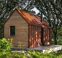 Sauna électrique moderne en cèdre rouge, long et cubique, de luxe, avec fonction vapeur, porte latérale en bois massif, pour villa, 2 à 8 personnes, alimentation par prise électrique