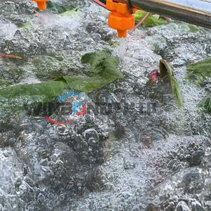 Meyve ve sebze yıkama, ticari karnabahar kabarcık yıkama ve kurutma ekipmanları, soya yıkama ve <span class=keywords><strong>Blanching</strong></span> - Product Image 2