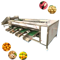 Commerciële sorteer- en sorteermachine voor aardappelen, uien, tomaten, lychees, kiwi's en appels; sorteermachine met rollen voor het sorteren van fruit op maat.