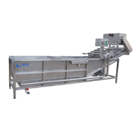 Automatische natuurlijke fruitverse marula mango sap maakplant machine proces sap productielijn prijs