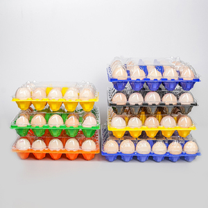 Khay đựng trứng nhựa PET trong suốt, đáy màu, 20-30 ô, bán buôn cho siêu thị, trang trại - Product Image 3