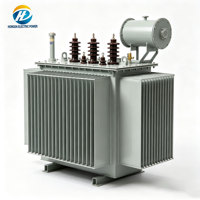 Transformateur de distribution triphasé immergé dans l'huile 10 kV 30 kVA 50 kVA 80 kVA 100 kVA 160 kVA Dyn11
