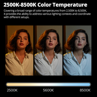 Godox LC500 Mini bâton lumineux LED 2500K-8500K Température de couleur CRI 95 TLCI 96 Lampe tube portable ABS Accessoires de studio photo