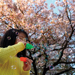 Juguetes de burbujas japoneses recargables al por mayor para niños, proveedores de moda 2026 - Product Image 3