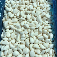 Prix de gros Légumes congelés IQF Gousses d'ail chinois pelées blanches Ail congelé frais pour l'exportation