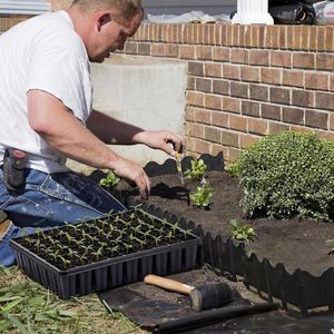 Barquettes de germination en plastique avec trous de drainage pour le démarrage et la croissance des semis, capacité 80G - Product Image 4