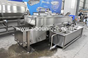 Machine automatique de lavage à bulles pour pousses de légumineuses et luzerne - Product Image 4