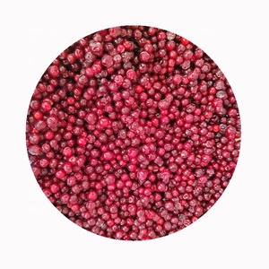 Vente en gros fournisseur export prix IQF fruits surgelés canneberge nature comestible Sd emballage en vrac canneberge décor chine 10 Kg 1 tonnes - Product Image 4