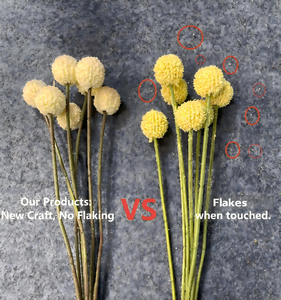 Offre Spéciale – Fleurs Artificielles <span class=keywords><strong>Billy</strong></span> Ball, 7 Tiges, 7 Têtes, 62 cm, Fleurs Boules Dorées pour Décoration Mariage, Maison, Fête, Festival, Vacances - Product Image 2