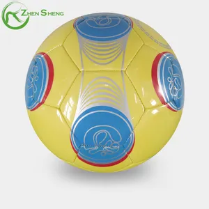 Zhensheng supplier size 1/2/3/4/5 custom soccer ball football for training