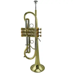 Neue Mode Goldlack Trompete