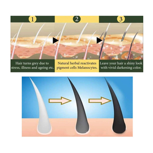 Shampoo Colorante per <span class=keywords><strong>Capelli</strong></span> Nero Senza Effetti Collaterali OEM, Cambio Colore Organico Naturale per <span class=keywords><strong>Capelli</strong></span> Grigi - Product Image 5