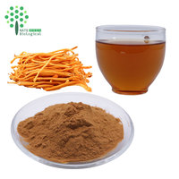 Capsules OEM personnalisées de champignons Lion's Mane, Cordyceps, Turkey Tail, Maitake, Reishi, Chaga