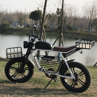 Vélo électrique à gros pneus, moteur arrière 48V, batterie lithium interchangeable 16Ah, vélo tout-terrain électrique