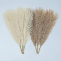 Penjualan Laris Dekorasi Bunga DIY Bulrush Reed Grass Filler Dekorasi Rumah Pernikahan Rumput Pampas Bunga Kering Rumput Pampas Kering