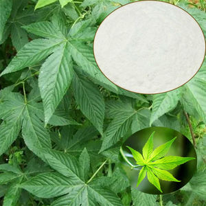 달콤한 차 Malus Hupehensis Rehd 수국 아스페라 돈 추출물 20%-80% 루부소사이드 분말 HPLC 64849-39-4 제조사 - Product Image 2