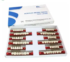 2 schicht Full Mouth Resin Teeth Dental Denture Teeth For Sale