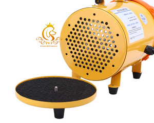 EURPET Manufacturer Export <strong>Dog</strong> Grooming High Velocity Blower Pet Hair Dryer Secador Para Groomer Commercial <strong>Blaster</strong> - Product Image 6
