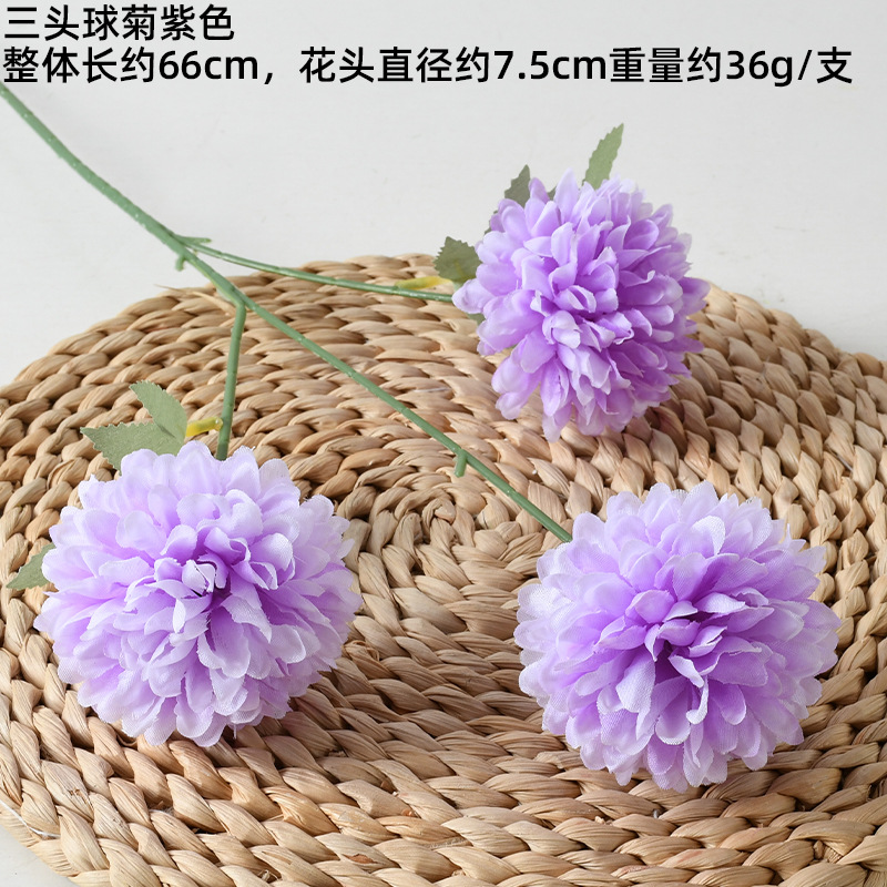 Crisantemo a sfera a 3 teste, color lilla chiaro.