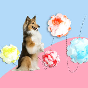 Duurzame Eco-Vriendelijke Tpr Sound Balls Favoriete Stress-Reliëf Kauwspeelgoed Veilig Voor Het Spelen Van Hondenspeelgoed - Product Image 1