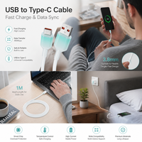 Kabel Data Type-C Grosir 1m dengan Pengisian Cepat 3A, Konduktor Tembaga Murni, Selubung Silikon untuk Ponsel & Power Bank