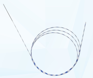 चिकित्सा डिस्पोजेबल हस्तक्षेप यूरोलॉजी तार हाइड्रोफिलिक टिप ज़ेबरा गाइड वायर/यूरोलॉजी गाइड तार - Product Image 5