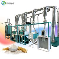 Machine de traitement de la farine de maïs à petite échelle 5-10TPD pour usage agricole, ligne de production de mouture de céréales