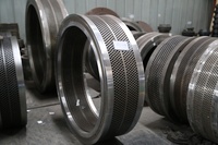 Ligne de production de granulés de bois TOPS avec moteur de 75 kW, 380 V, diamètre 4-10 mm, capacité 800-1000 kg/h, économie d'énergie