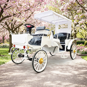 Vente en gros de calèches de mariage haut de gamme personnalisées, calèches de tourisme, calèches électriques à vendre - Product Image 1