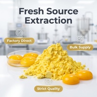 Poudre de jaune d'œuf de qualité alimentaire pasteurisée en vrac pour marque privée, OEM, vente en gros, ingrédient pour la mayonnaise, la crème glacée, les nouilles et les sauces