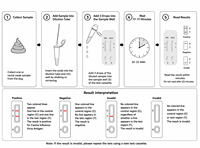 Cassette de test rapide économique 2-en-1 pour chats (FPV/FCoV) – Dépistage gastro-intestinal félin en une étape – Prix usine OEM – ISO13485 – Vente en gros