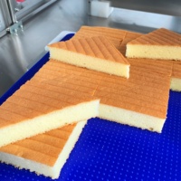 Machine de découpe de gâteaux ultrasonique pour portions de gâteau triangulaires isocèles, coupe de précision, trancheuse de gâteau mousse triangulaire isocèle