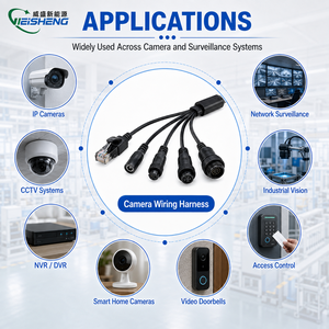 Arnés de Cableado Interno de Paso Pequeño para Cámara IP - Conjunto de Cable con Microconector para Seguridad - Product Image 2