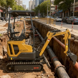 Agricoltura tutto il terreno cingolato escavatore Mini scavatrice casa fattoria multifunzionale 1 anno di garanzia - Product Image 2