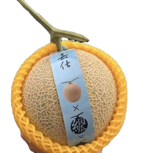 <strong>High</strong> <strong>Quality</strong> Customizable Size <strong>Net</strong> Fruit <strong>Foam</strong>,<strong>epe</strong> <strong>Foam</strong> Fruit <strong>Net</strong>, Mango Fruit <strong>Foam</strong> <strong>Net</strong> - Product Image 1