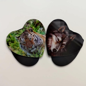 Magneti per Frigorifero 3D Lenticolari Personalizzati del Produttore di Guangzhou, Magneti 3D di Tigri e Animali per Decorazione Frigorifero - Product Image 2