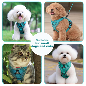 Arnés para Perro Estilo Chaleco, Reflectante y Transpirable, Correa de Pecho para Mascotas, Correa para Pasear Gatos - Product Image 2
