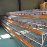 Cage à poules en acier galvanisé antirouille, type 4, 1000/2000 poulets, élevage de volailles, cages à poules, cage à batterie pour poules pondeuses