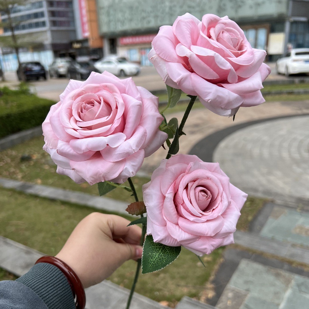 3 heads curled roses-light pink