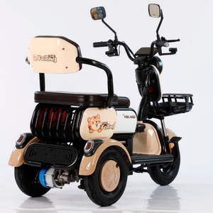 Tricycles électriques pas chers pour personnes âgées, tricycles électriques pour adultes (48/60V 500W) - tricycles électriques - - Product Image 5