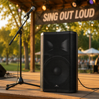 Vantas-158DSP Enceinte active 15 pouces avec amplificateur de classe D, Bluetooth TWS, lecteur MP3, haut-parleur professionnel pour scène, mariage, événements en plein air