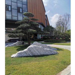 Natuurlijke Buitentuin Decoratie Graniet Landschap Rotstuin Steen - Product Image 5