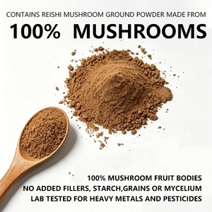 Marca Privada 100% Fructífero 10 en 1 Mezcla Orgánica de Reishi, Cordyceps, Melena de León y Chaga Extracto de Hongos en Polvo Venta al por Mayor a Granel - Product Image 2