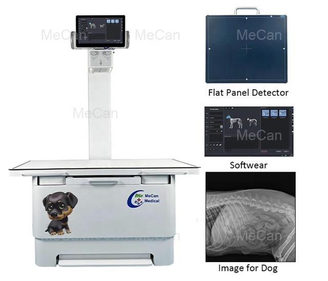 5.6KW Touch Screen Veterinary X-ray Image System Vet Digital Radiography X Ray Equipment Portable Canine Xray Machine
