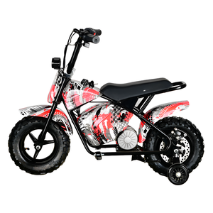 Precio Económico MAXSPEED 250DH 500W 36V Motor con Escobillas, Batería de Plomo-Ácido, Neumáticos, 40km/h, Motor de 500W / 800W / 1000W - Product Image 3