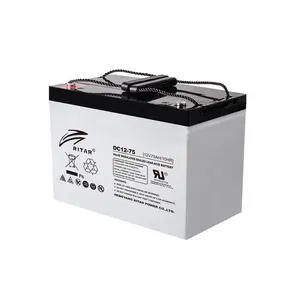 High Security Solar Battery AGM Deep Cycle 12V 75AH 90AH 200AH Ritar Battery 100Ah