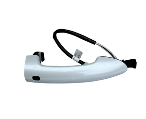 Poignée extérieure de porte avant neuve Dongfeng Fengguang Glory 580pro, poignée d'ouverture de porte de voiture pour <span class=keywords><strong>Dfsk</strong></span> <span class=keywords><strong>2011</strong></span>- Garantie de 12 mois - Product Image 1