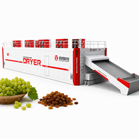 Shouchuang OEM/ODM industriële continue mesh-belt fruitdroogmachine voor het drogen van verse druiven tot rozijnen.