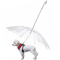 Ngoài Trời Gấp Dễ Dàng Xem Rõ Ràng Trong Suốt Không Thấm Nước Pet Dog Puppy Bảo Vệ Ô Với Dây Xích